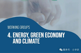 2025金磚峰會之金磚國家工商理事會能源、綠色經濟與氣候工作組建議和成果（二）